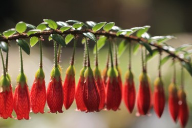 中山小榄6私人快速借钱网，轻松解决资金难题