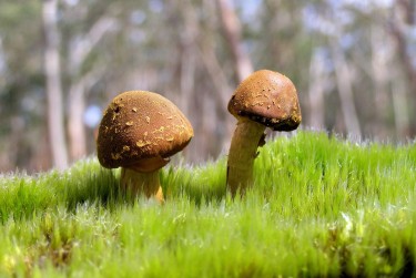 中山小榄6私人老板放款：轻松融资的秘密通道